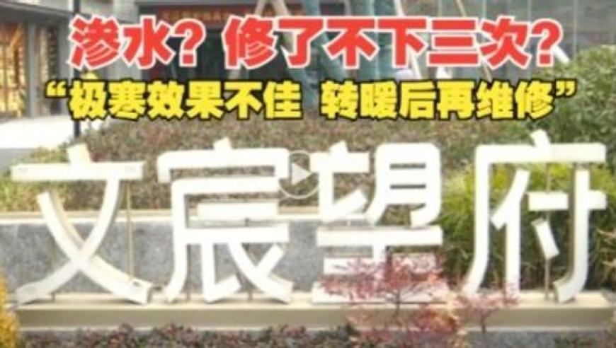 2025澳门内部资料香港王中王,特效团队喊话饺子下次轻点折磨,前瞻性战略落实探讨_扩展版V13.4