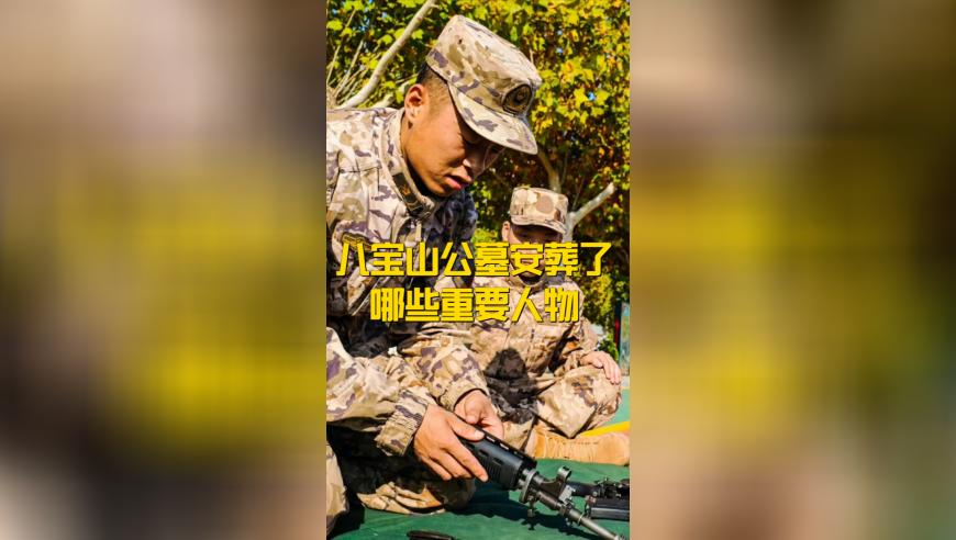 2025澳门天天开彩好资料,《哪吒2》海外排片破纪录,最新正品解答落实_云端版V12.90
