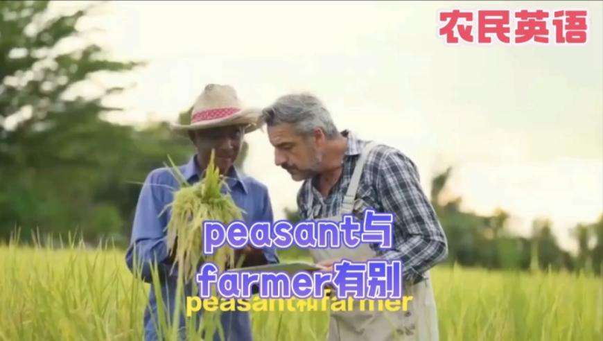 管家婆四肖八码精选期澳门,赵本山坐轮椅现身机场 知情人曝原因,动态词语解释落实_轻量版V1.53