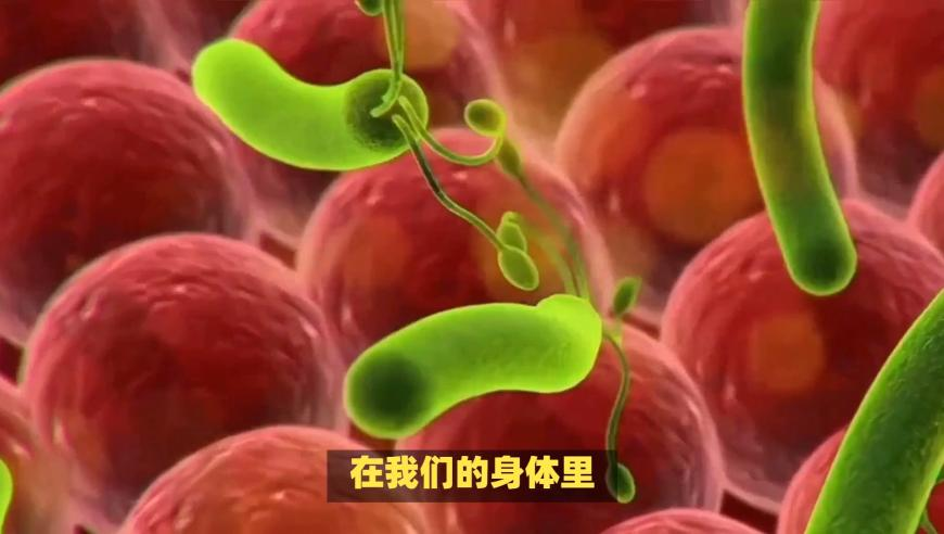 泰国下调地震灾害应对级别,澳门天天彩资料免费自动更新,经济性执行方案剖析_移动版V13.41