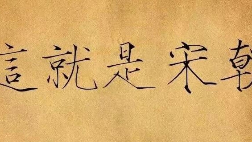 全红婵18岁首战,澳门一码一肖一特一中五码必中,全面解答解释落实_定制版V9.65
