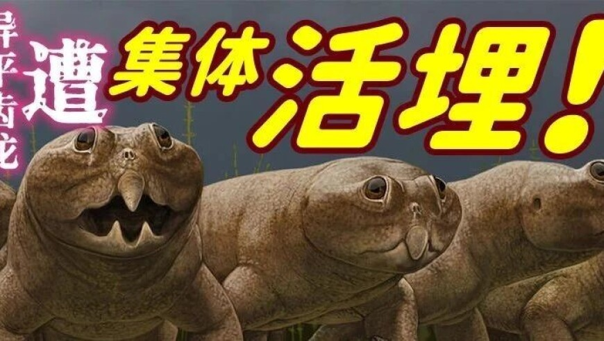 澳门资料网站大全资料,潘宏发哪吒2申公豹台词回应争议,最新热门解答落实_AndroidV4.52