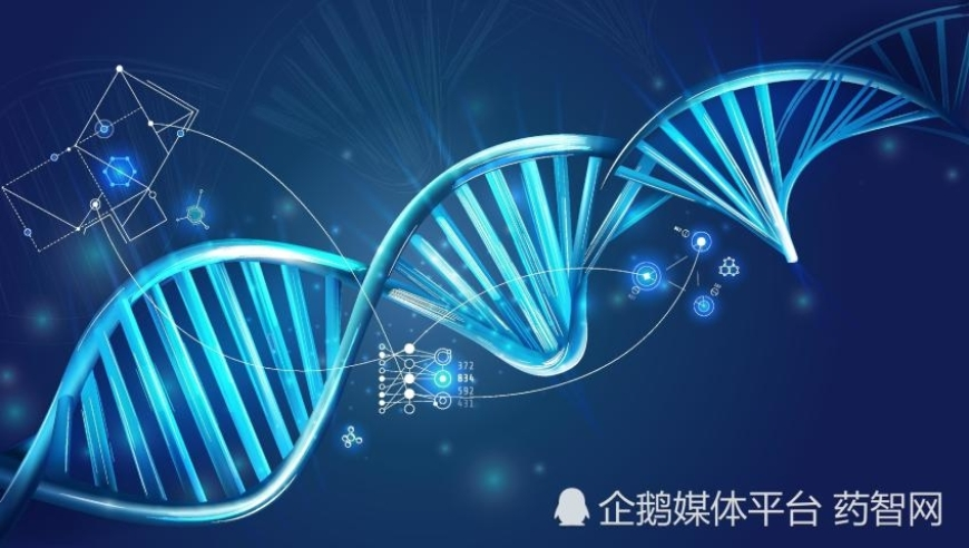 49图库资料中心澳门开奖结果查询,AG战胜EDGM,创造力策略实施推广_高清版V8.12